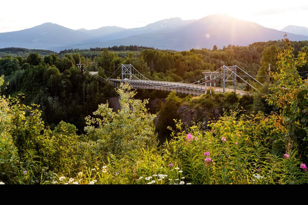 Roundtables And Networking | BC Rural Centre